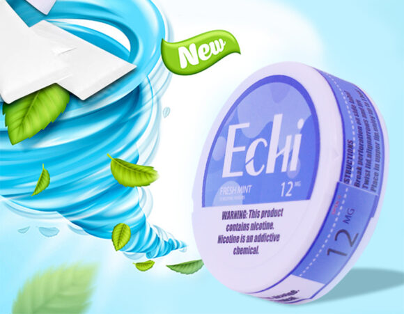 Echi Fresh Mint Nicotine Pouches 12MG - Image 4