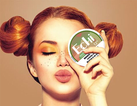 Echi Wintergreen Nicotine Pouches 12MG - Image 4